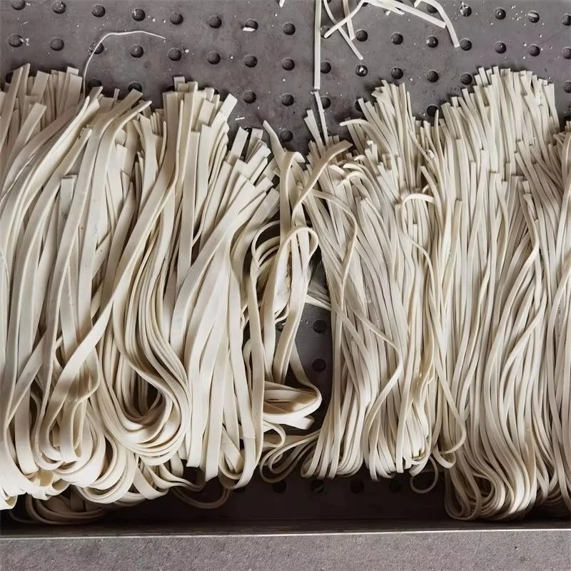 Macchina Intelligente per Fare - Pasta Machine Electric recensione e prezzo